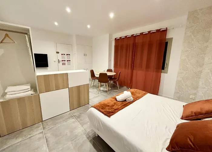 Apartment Le Terracotta, Spacieux & Elegant, Hyper Centre Valence (Drome)